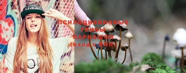 меф Гусев