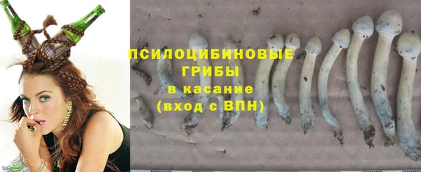 ECSTASY Гусиноозёрск