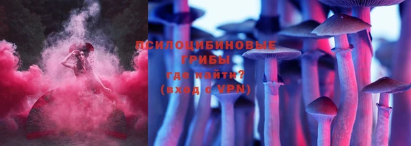 бутират Гусь-Хрустальный
