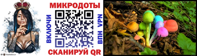 Купить где  Мещовск  Галлюциногенные грибы GOLDEN TEACHER 